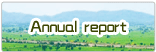 annual report